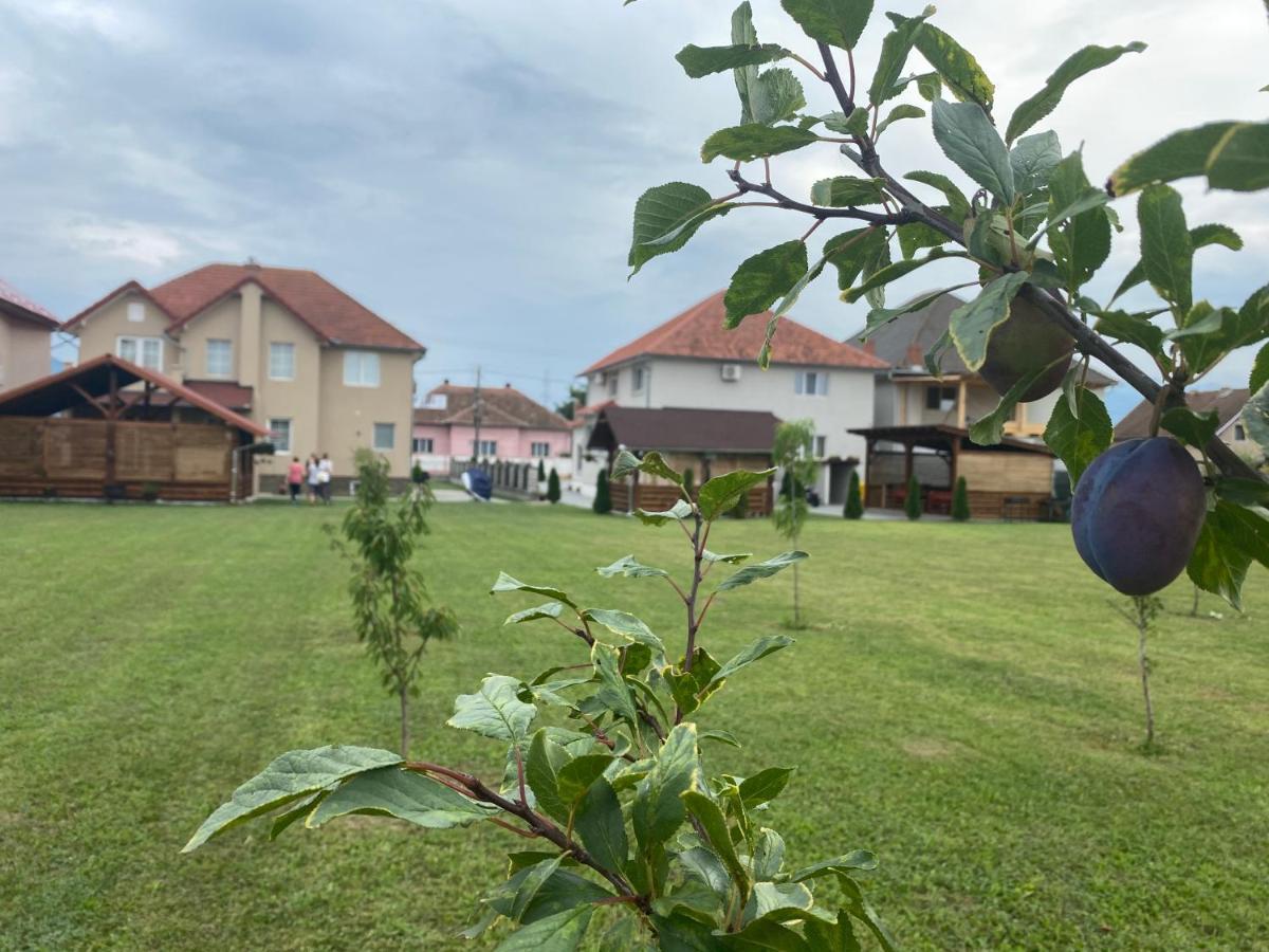 Absolut Residence Hateg Haţeg Exterior foto
